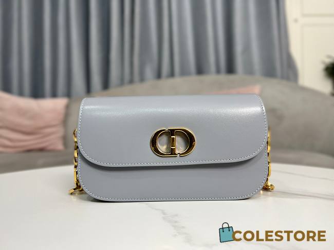 Dior 30 Montaigne Avenue Grey Size 22.5x12.5x 6.5cm - 1