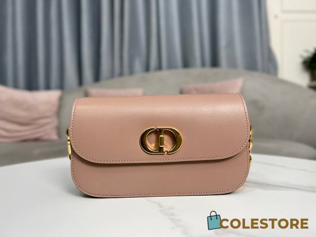 Dior 30 Montaigne Avenue Pink Size 22.5x12.5x 6.5cm - 1