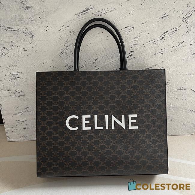 Celine Triomphe Canvas Size 43x35x10cm - 1