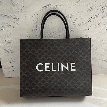 Celine Triomphe Canvas Size 43x35x10cm