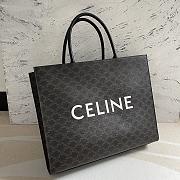 Celine Triomphe Canvas Size 43x35x10cm - 3