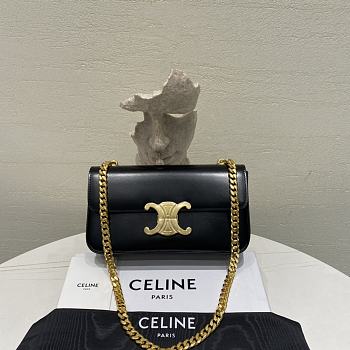 Celine Triomphe Gold Size 20.5x10.5x4cm