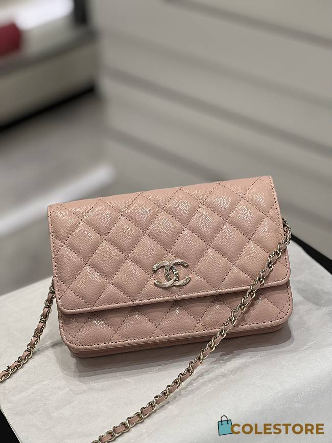 Chanel 23S C-Woc Pink Size 19x3x12cm - 1