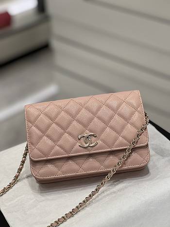 Chanel 23S C-Woc Pink Size 19x3x12cm