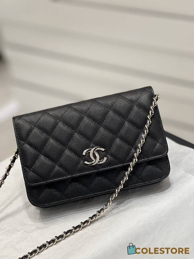 Chanel 23S C-Woc Size 19x3x12cm - 1