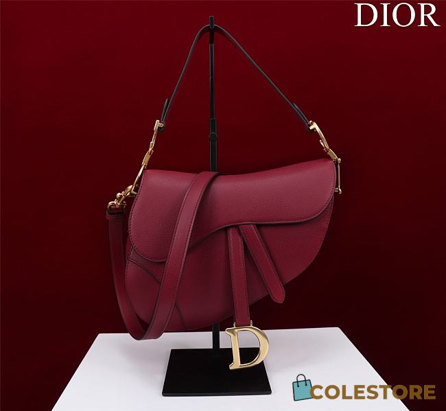 Dior Saddle Red Bag With Strap Size 25.5x20x6.5cm - 1