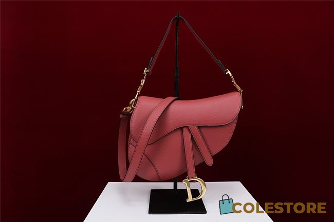 Dior Saddle Bag With Strap Size 25.5x20x6.5cm - 1