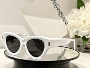 YSL Glasses  - 2