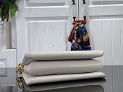 LV New Spring Collection Nautical Coussin Bag PM - 5