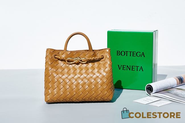 Bottega Veneta Andiamo Brown Size 25×22×10.5 - 1
