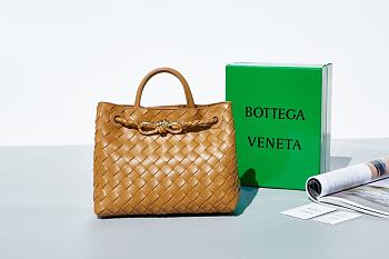Bottega Veneta Andiamo Brown Size 25×22×10.5