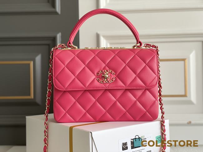 CC Trendy Pink 25x17x12cm - 1