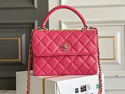 CC Trendy Pink 25x17x12cm - 1