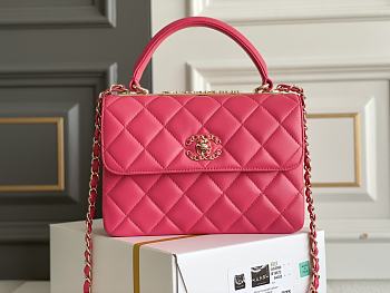 CC Trendy Pink 25x17x12cm