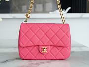 	 Chanel 23P Caviar Mini Pink 14×20×8cm - 1