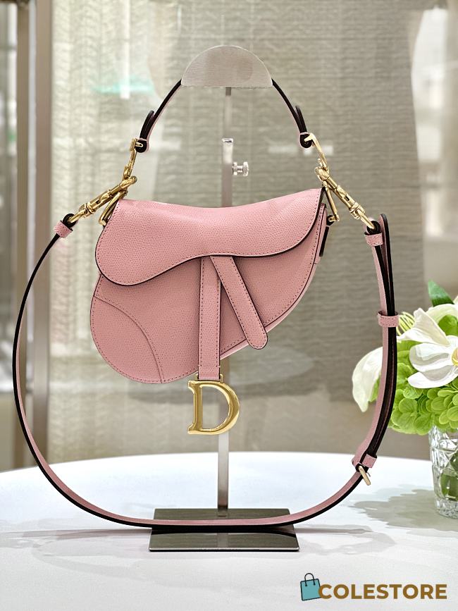 Dior Saddle Pink 21×18×5cm - 1