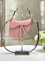 Dior Saddle Pink 21×18×5cm - 1