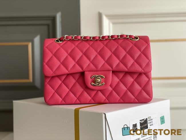Chanel CF Flap Bag Pink Classic 23x14.5x6cm - 1