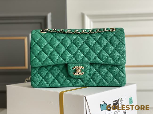 	 Chanel CF Flap Bag Green Classic 25.5x15.5x6.5 - 1