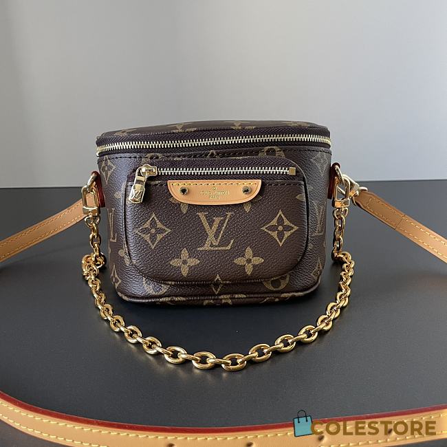	 Louis Vuitton Mini Pumbag Brown Size 17×12×9.5cm - 1