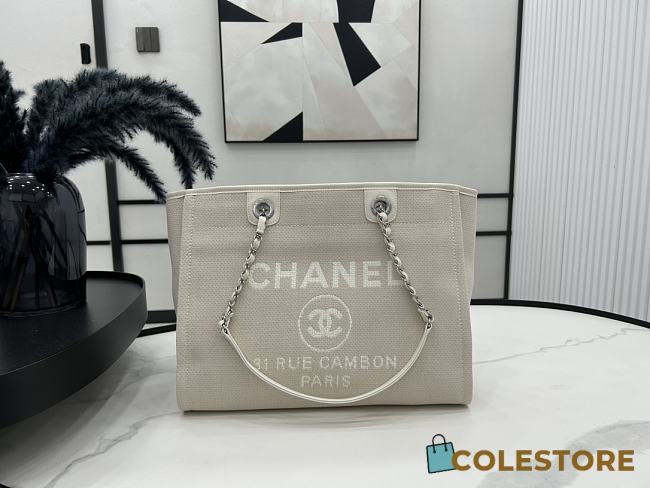 Colestore Chanel Shopping Bag Size 33*14.5*24cm - 1