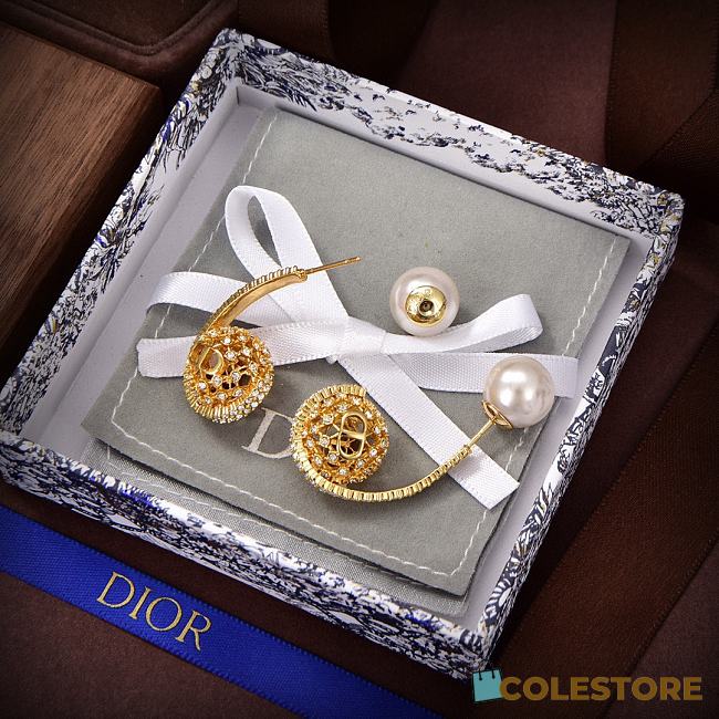 Dior Earrings  - 1
