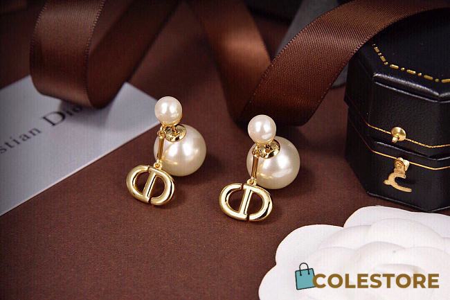 Dior Earrings 001 - 1