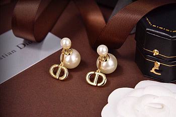 Dior Earrings 001