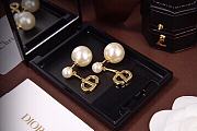 Dior Earrings 001 - 2