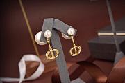 Dior Earrings 001 - 3