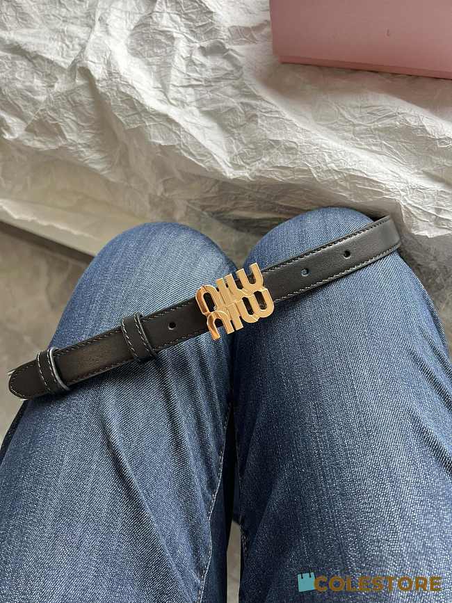 Miu Miu Black Belt 2cm - 1