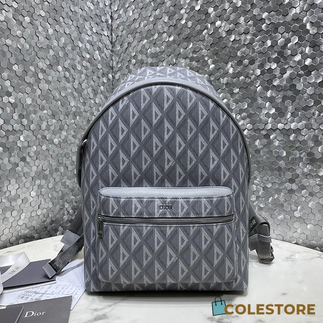  Dior Rider Backpack Grey Cd Diamond Canvas And Smooth Calfskin 30 x 42 x 15cm - 1