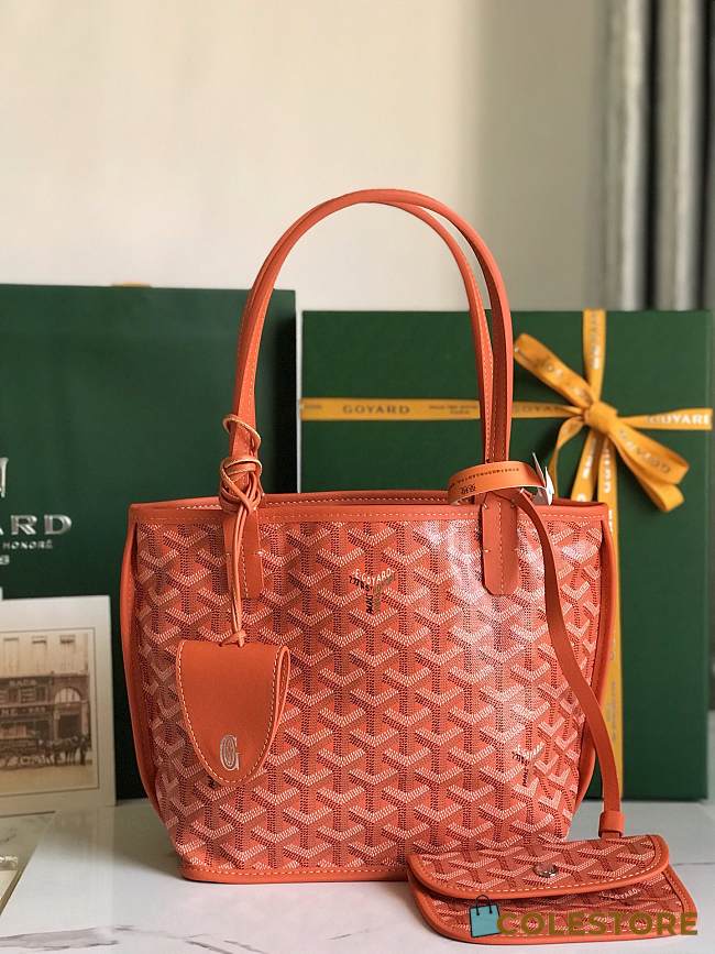Goyard Anjou Mini Bag Orange 20x10x10cm - 1