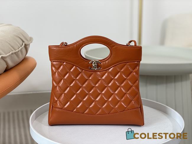 	 Colestore Chanel 31 Mini Shopping Bag Size 22 × 23 × 5.5 cm - 1