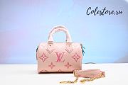 Louis Vuitton Seedy Bandoulière Size 20.5x13.5x12cm - 1
