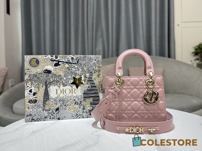 Colestore Dior Lady Light Pink Size 20cm - 1