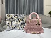 Colestore Dior Lady Light Pink Size 20cm - 1