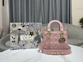 Colestore Dior Lady Light Pink Size 20cm