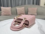 Colestore Dior Lady Light Pink Size 20cm - 3