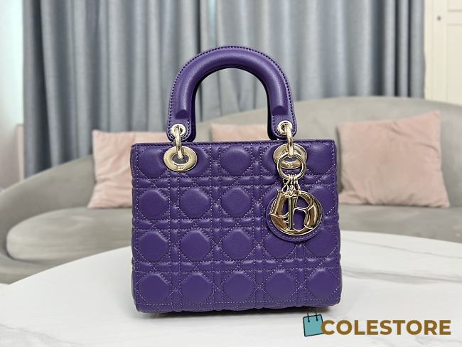 Colestore Dior Lady My ABC Purple Size 20cm 20 x 17 x 8  - 1