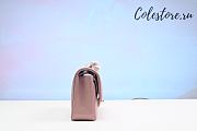 Colestore Chanel Mini Flap Bag With Top Handle Pink 25cm - 5