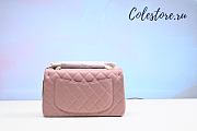 Colestore Chanel Mini Flap Bag With Top Handle Pink 25cm - 3
