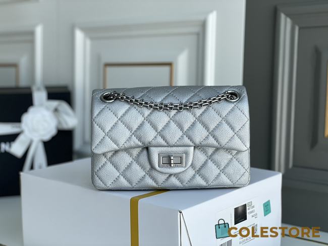 Colestore Chanel Metallic Grained Calfskin （20cm） - 1