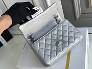 Colestore Chanel Metallic Grained Calfskin （20cm） - 4