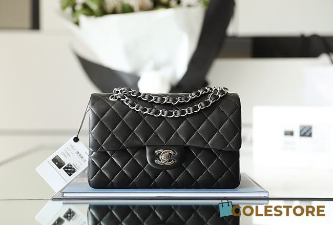 Colestore Chanel Flap Small Black Silver Hardware 14.5x23cmx6cm - 1