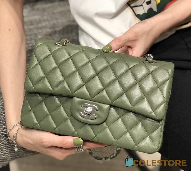 	 Colestore Chanel Flap Small Green Gold Hardware 14.5x23cmx6cm - 1
