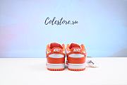 Colestore Nike Dunk Low 'Orange Blaze - 5