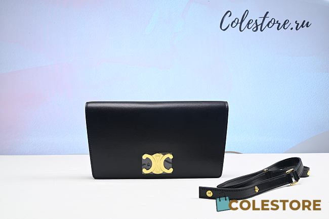 Colestore Women Celine Trapeze Triomphe Bag In Shiny Calfskin Size 26cm - 1