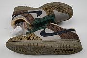 Colestore Nike Dunk Low 