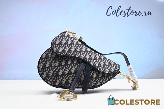 Colestore Dior Oblique Saddle Size 25.5cm - 1